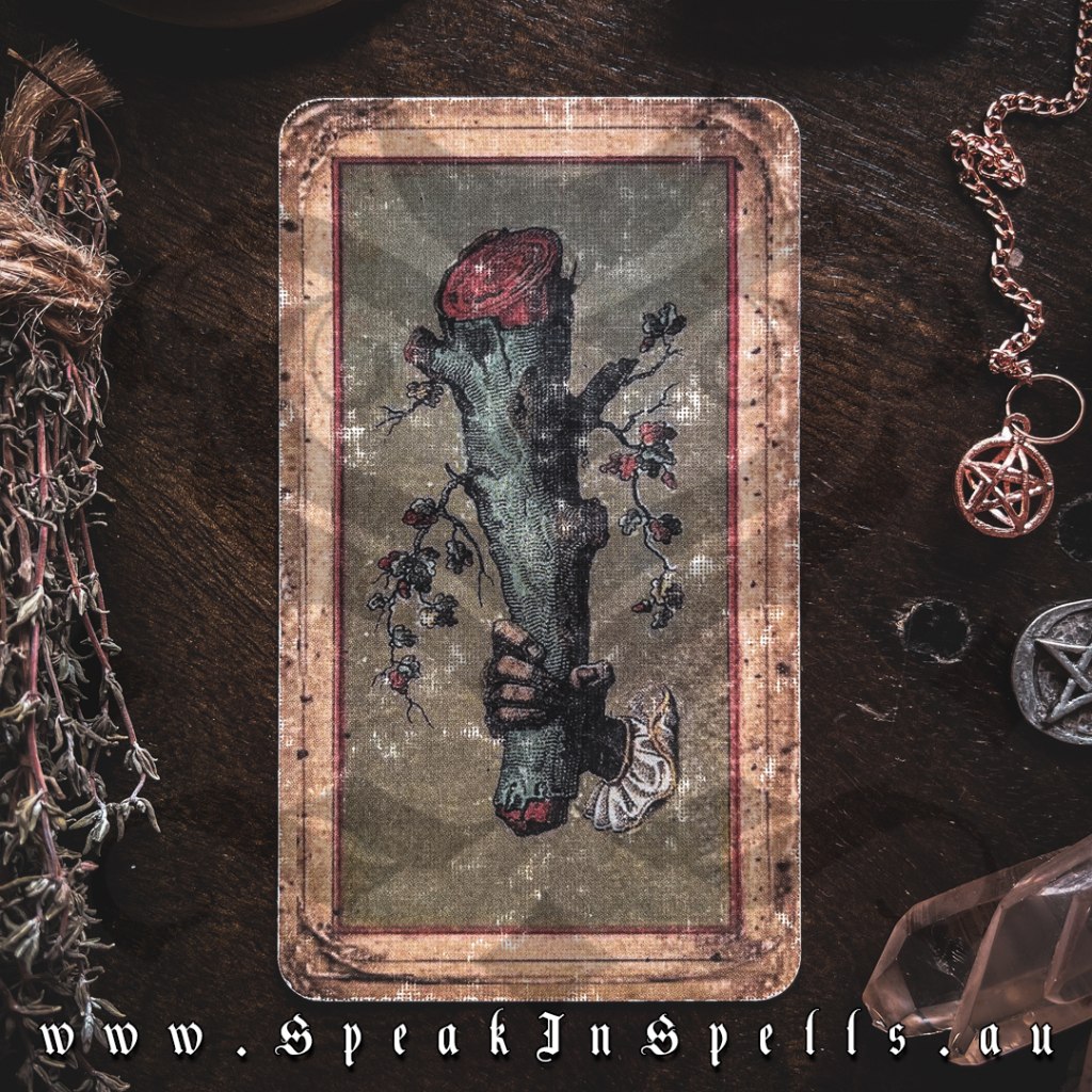 ace of wands, australian witchcraft blog, tartot adelaide, pagan supplies
