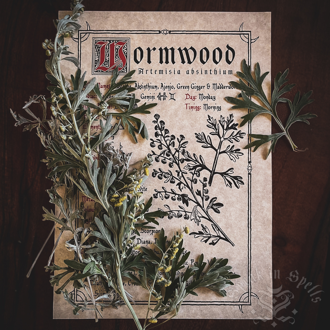 wormwood grimoire, australian witchcraft supplies, wiccan supplies, adelaide witchcraft store, herbal magic, witchcraft shop, pagan supplies,