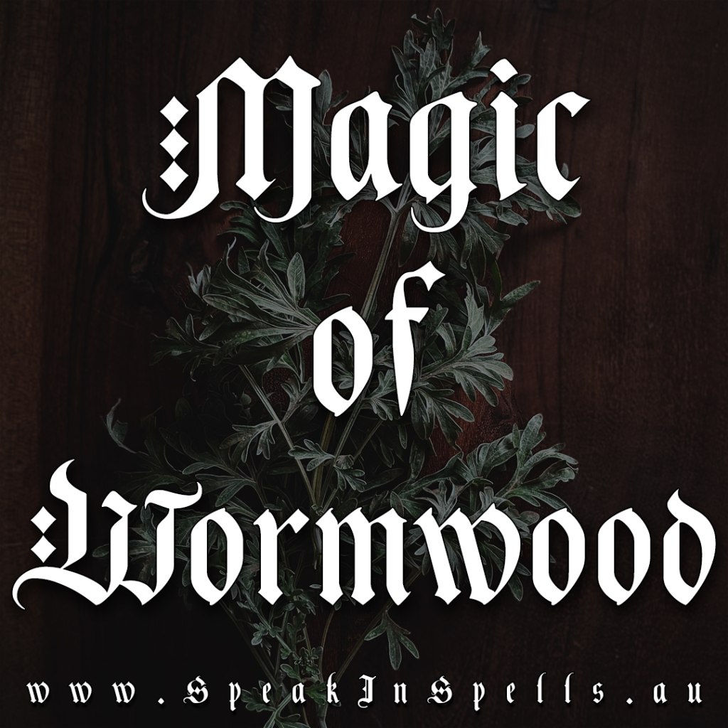 magic of wormwood, australian witchcraft blog, southern hemisphere witchcraft, herbalism, wormwood magic, wormwood connections, wormwood properties