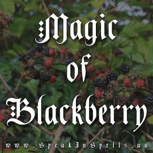 magic of blcakberry, australian witchcraft blog, pagan blog, wiccan blog, witchcraft supplies australia, adelaide witchcraft store