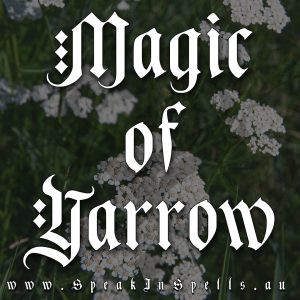 magic of yarrow, australian witchcraft blog, adelaide witchcraft store, herbal magic, magic of herbs, witchcraft herbs, wiccan store, pagan supplies, australian witchcraft supplies